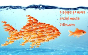 3 steps to more social media followers